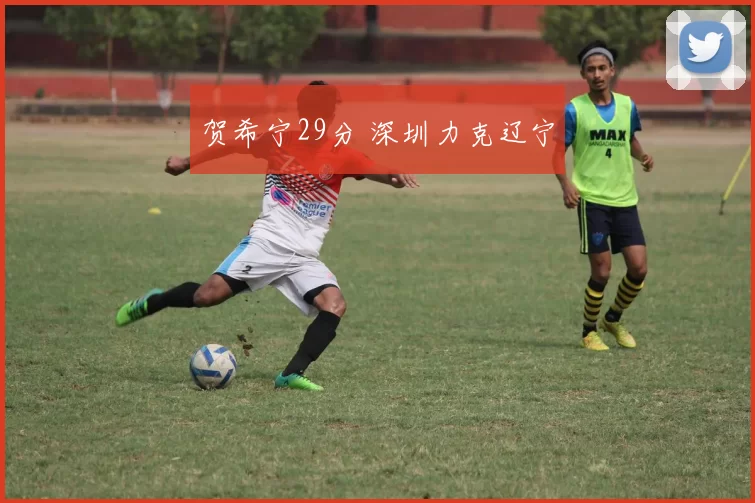 贺希宁29分 深圳力克辽宁