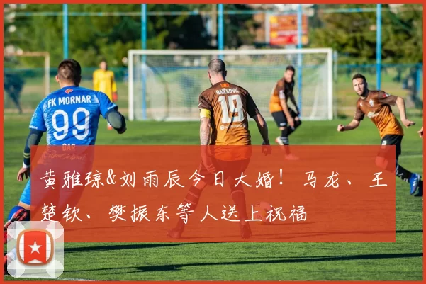 黄雅琼&刘雨辰今日大婚！马龙、王楚钦、樊振东等人送上祝福