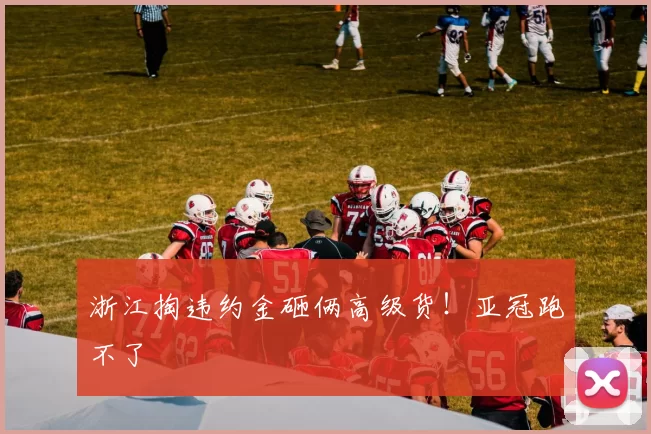 浙江掏违约金砸俩高级货！亚冠跑不了