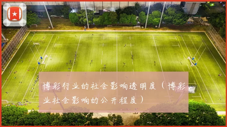 博彩行业的社会影响透明度（博彩业社会影响的公开程度）