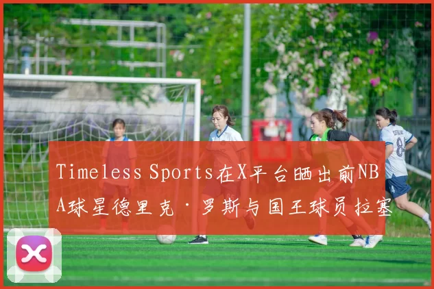 Timeless Sports在X平台晒出前NBA球星德里克·罗斯与国王球员拉塞尔·威斯布鲁克的合影，并抛出话题：“他们是史上爆发力最强的控卫吗？”这一提问迅速点燃球迷讨论热情。