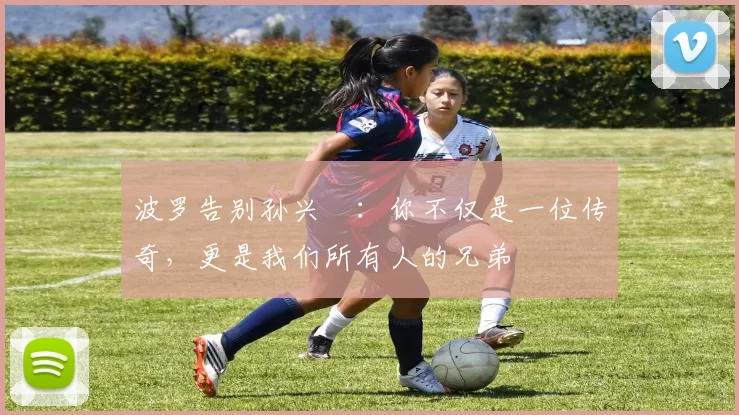 波罗告别孙兴慜：你不仅是一位传奇，更是我们所有人的兄弟