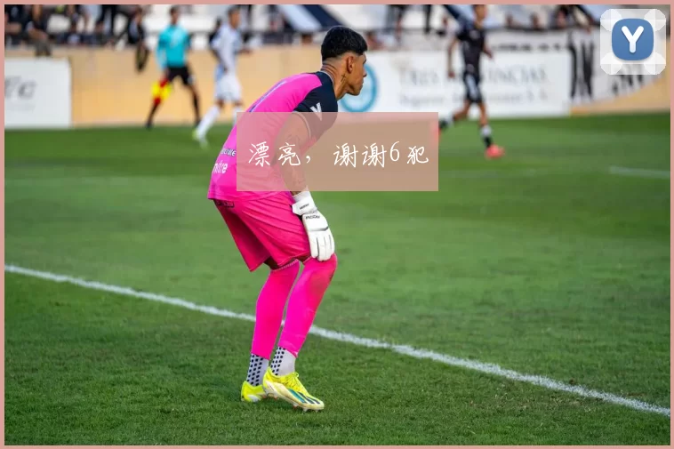 漂亮，谢谢6犯