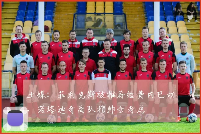 土媒：菲利克斯被推荐给费内巴切，若塔迪奇离队穆帅会考虑