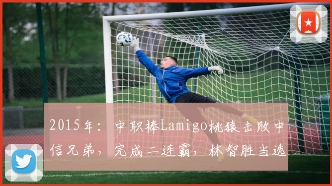 2015年：中职棒Lamigo桃猿击败中信兄弟，完成二连霸，林智胜当选MVP。