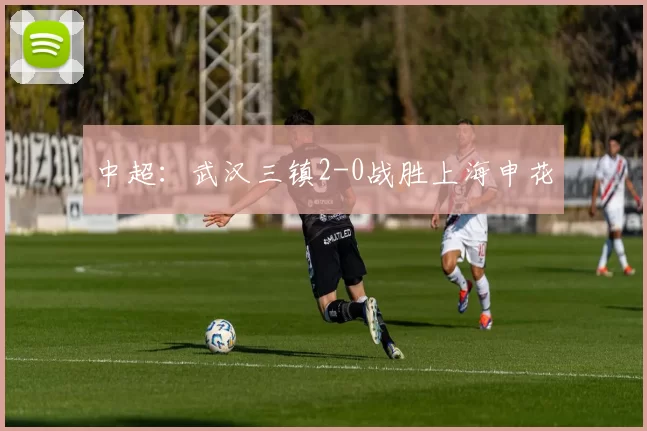 中超：武汉三镇2-0战胜上海申花