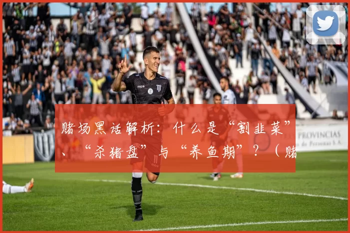 赌场黑话解析：什么是“割韭菜”、“杀猪盘”与“养鱼期”？（赌场行话解读：“割韭菜”“杀猪盘”“养鱼期”到底指什么？）