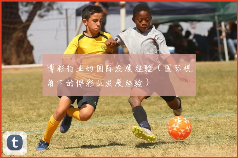博彩行业的国际发展经验（国际视角下的博彩业发展经验）