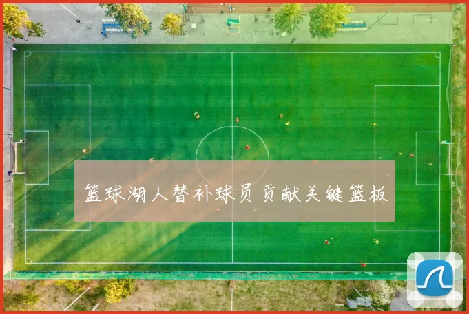 篮球湖人替补球员贡献关键篮板