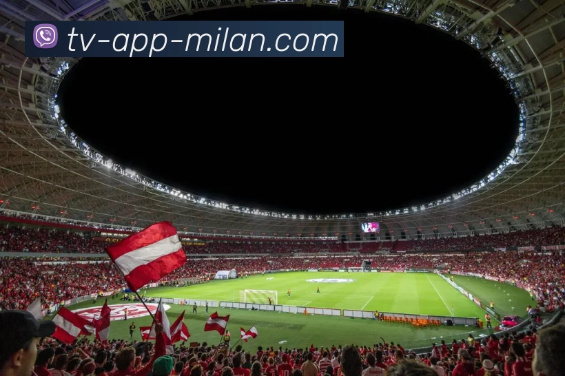 米兰体育app服务体系